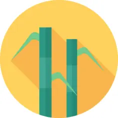 Bamboo