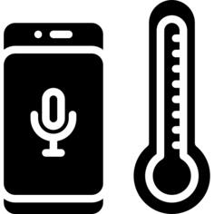 Voice assistant