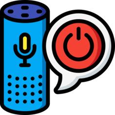Echo dot