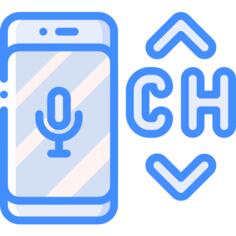 Voice assistant