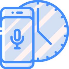Voice assistant