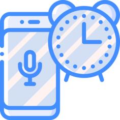 Voice assistant
