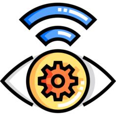 Eye
