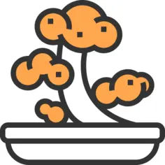 Bonsai