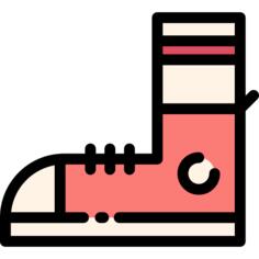 Shoe