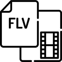 Flv file