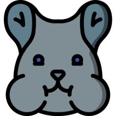 Hamster