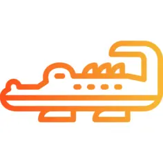 Crocodile