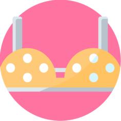 Bra