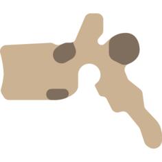Vertebra