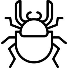 Beetle