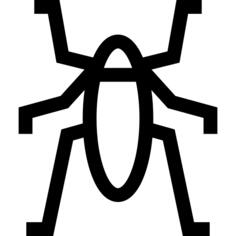 Insect