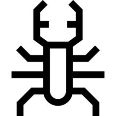 Beetle
