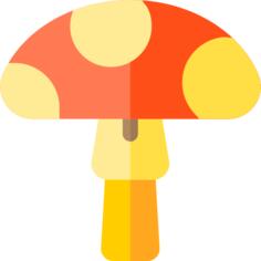 Mushroom