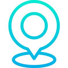 Pin