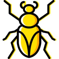 Roach