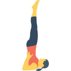 Exercise