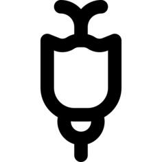 Tulip