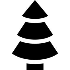Spruce