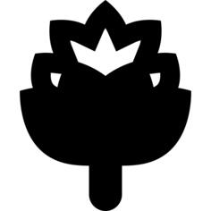 Artichoke