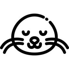 Sea lion