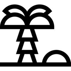 Coconut tree