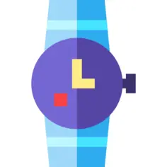 Wristwatch