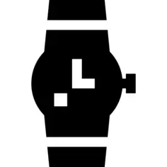 Wristwatch