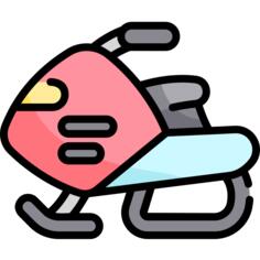 Snow vehicle