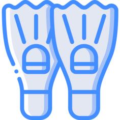 Flippers