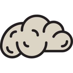 Brain