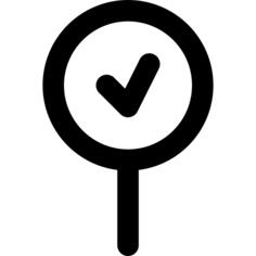 Pin
