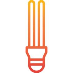 Bulb