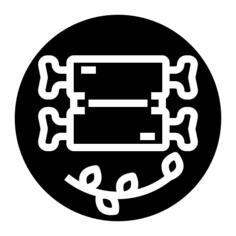 Rib