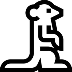 Meerkat