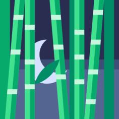 Bamboo