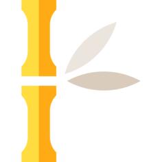 Bamboo