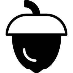 Acorn