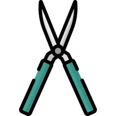 Scissors