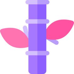 Bamboo