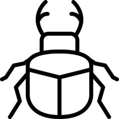 Beetle