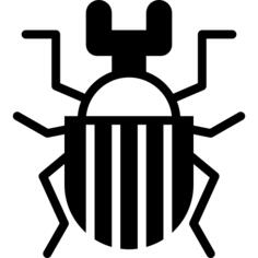 Beetle