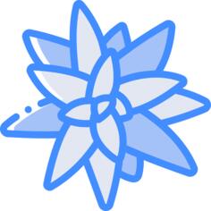 Bromeliaceae
