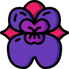Orchidaceae