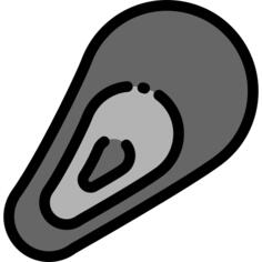 Mussel