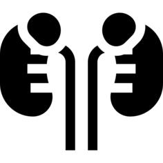 Kidneys