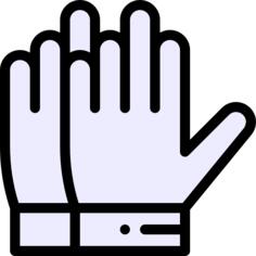 Gloves