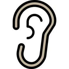 Ear