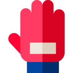 Glove