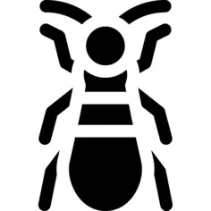 Bug